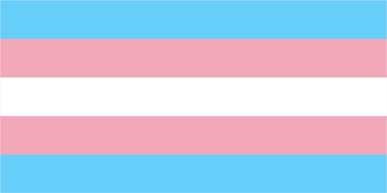 Transgender Flag