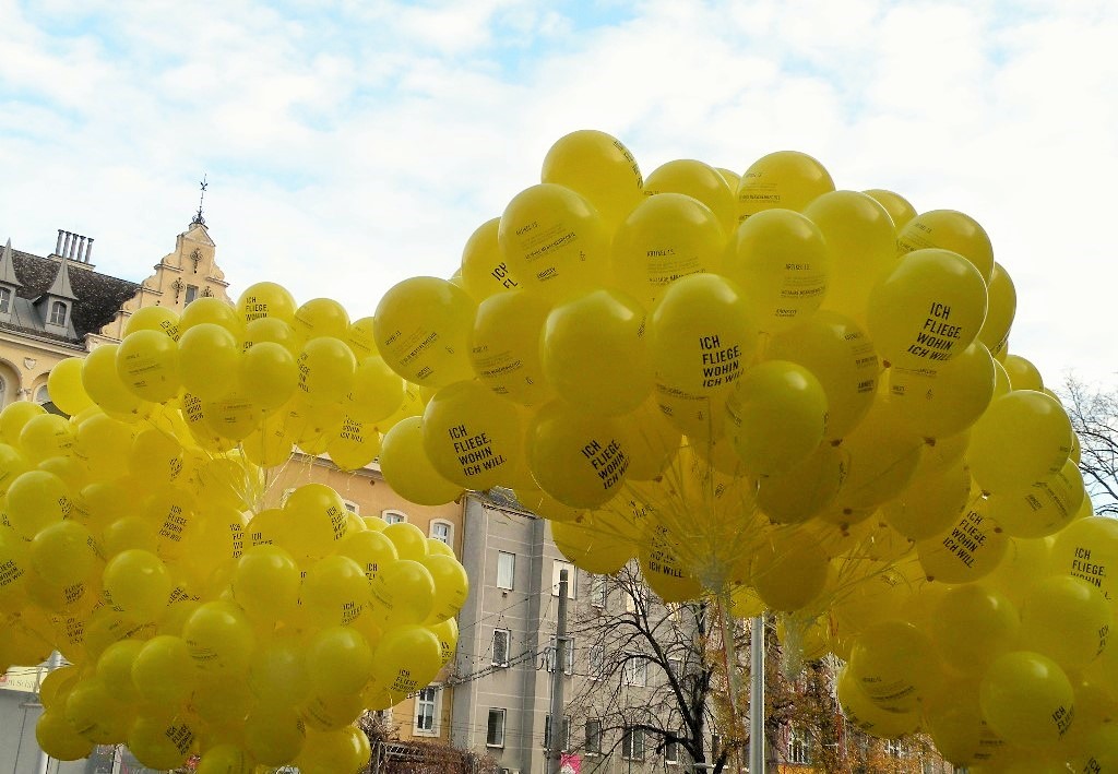 © Johann Schnellinger